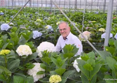 Jaap Stelder, managing director at Agriom, preseting the new cut-hortensia Royal Highness